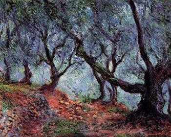 尅勞德 莫奈 Grove of Olive Trees in Bordighera